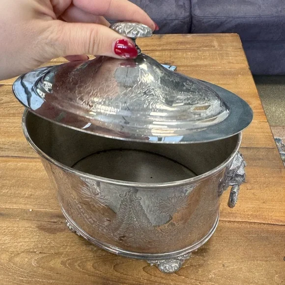 Stunning silver plated large footed bisc box with lions